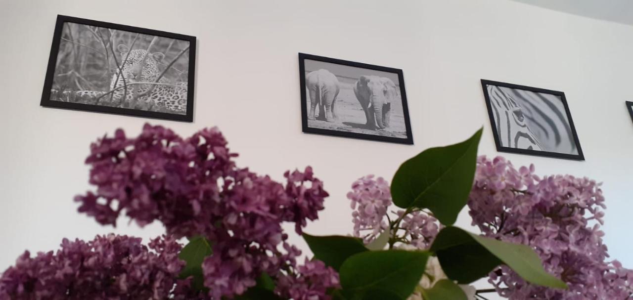 Ferienwohnung ויטנברג מראה חיצוני תמונה