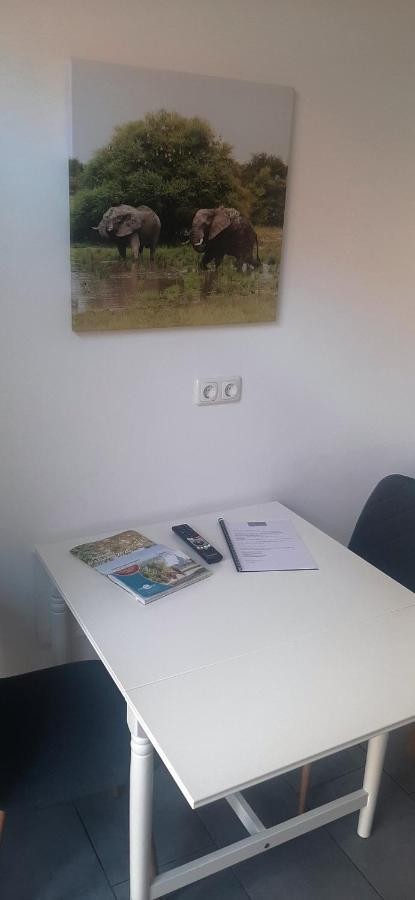 Ferienwohnung ויטנברג מראה חיצוני תמונה